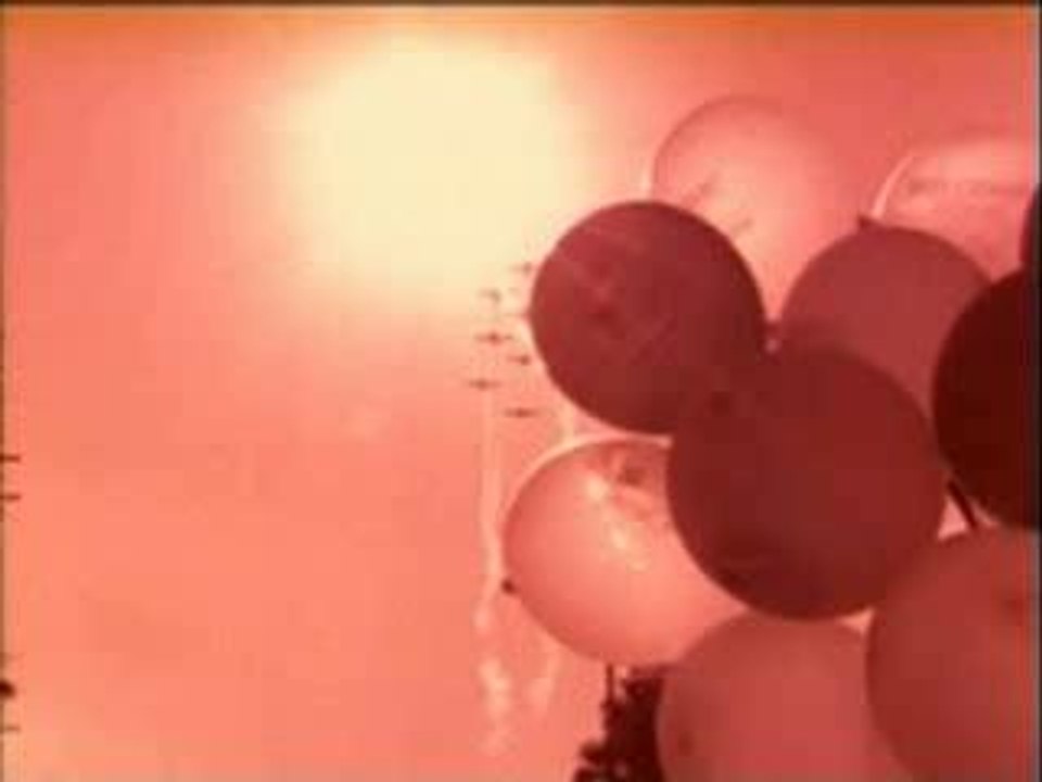 Red hot chili peppers - suck my kiss