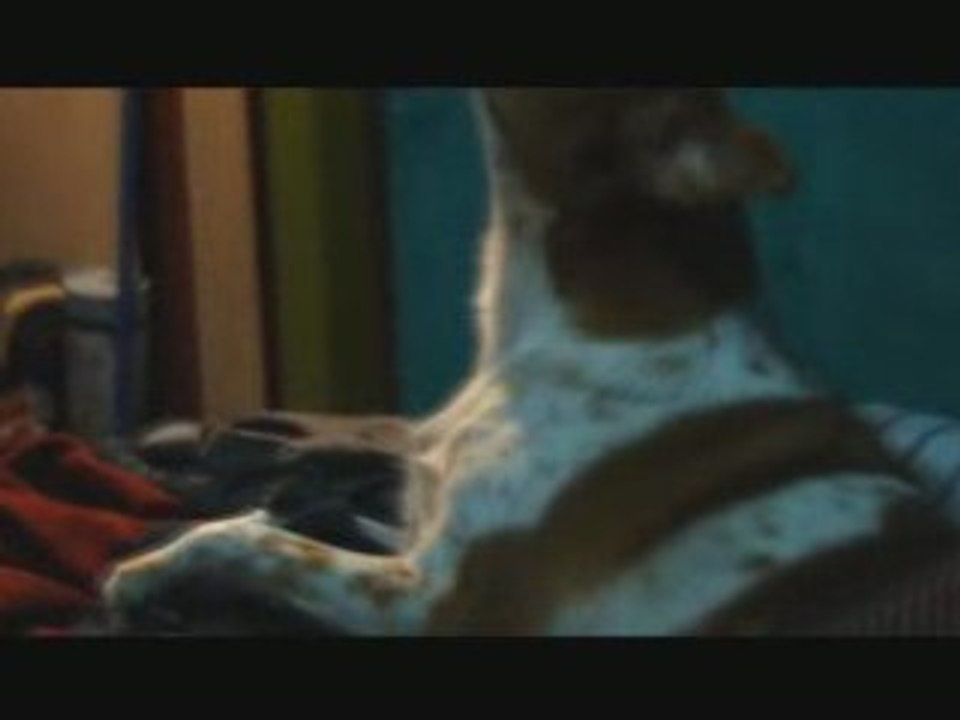 Phoebe howls to the harmonica