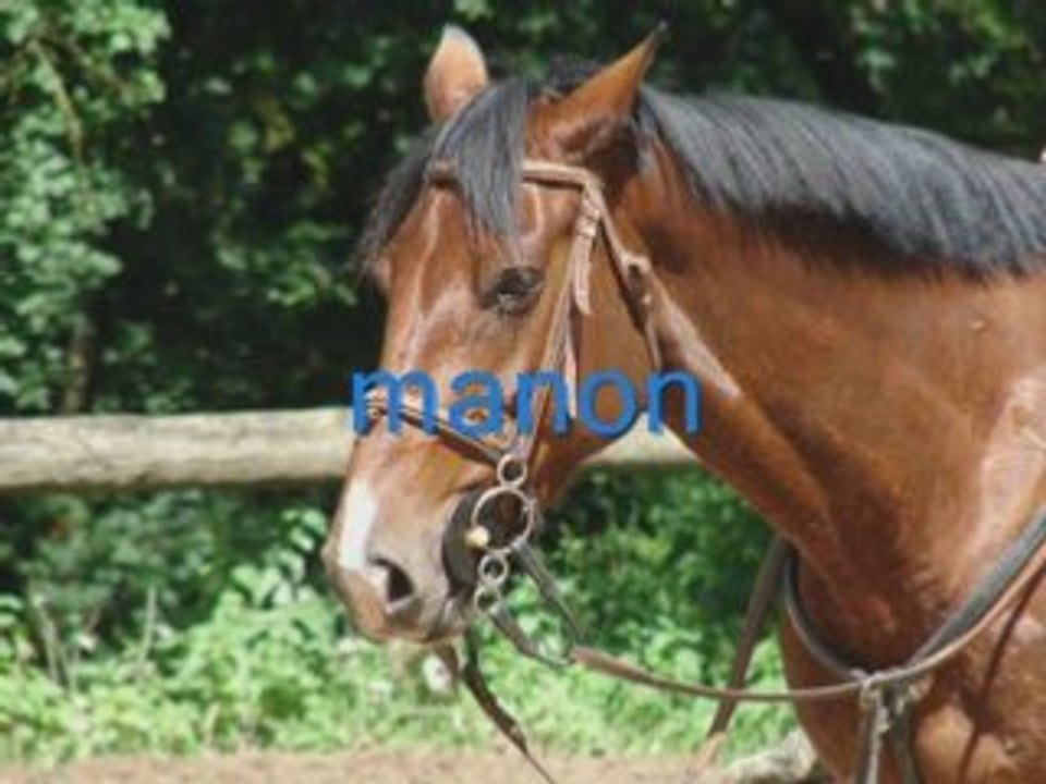 Les chevaux du sacriba