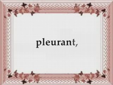 Shaikh Idriss abkar Sourate Al Isra