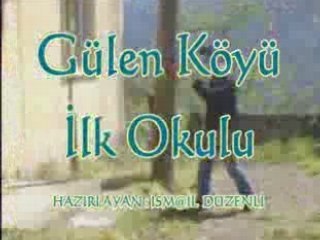 Gülen Köyü İlkokulu