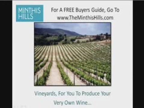 Minthis Hills Is This Going To Be The Best Development In C