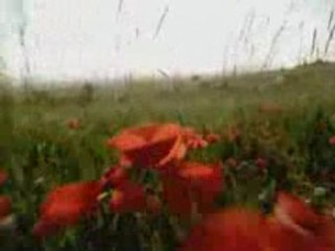 Mustafa Filmi Fragmanı