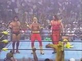 Outsiders vs Sting, Lex Luger & Savage (2)