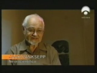 Panksepp: Emociones en animales