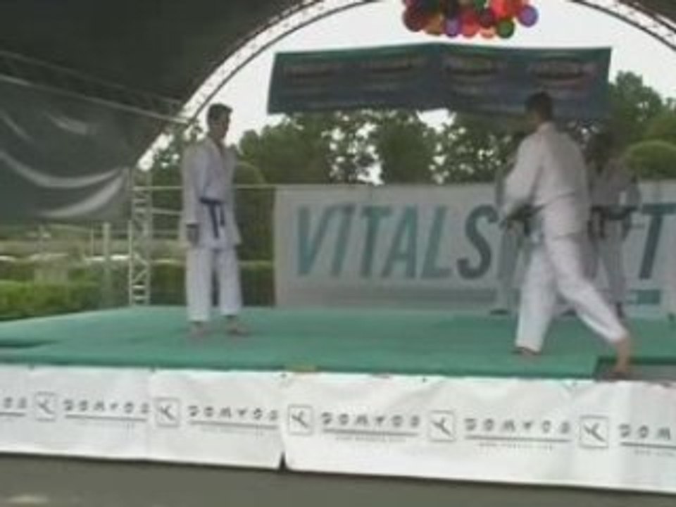 Nihon Tai Jitsu démo Vital Sport 2008