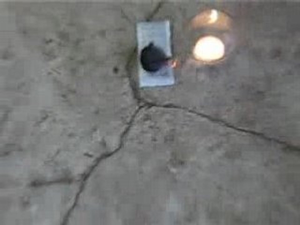 figue exploser au petard