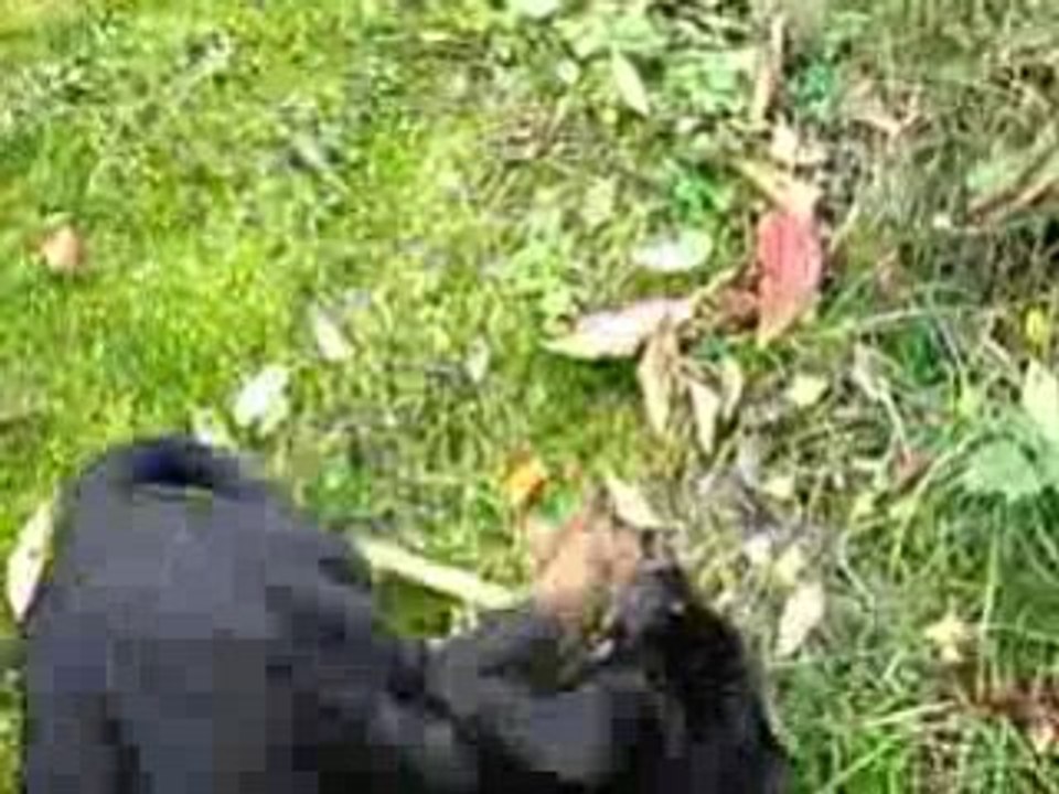 IMGP1180