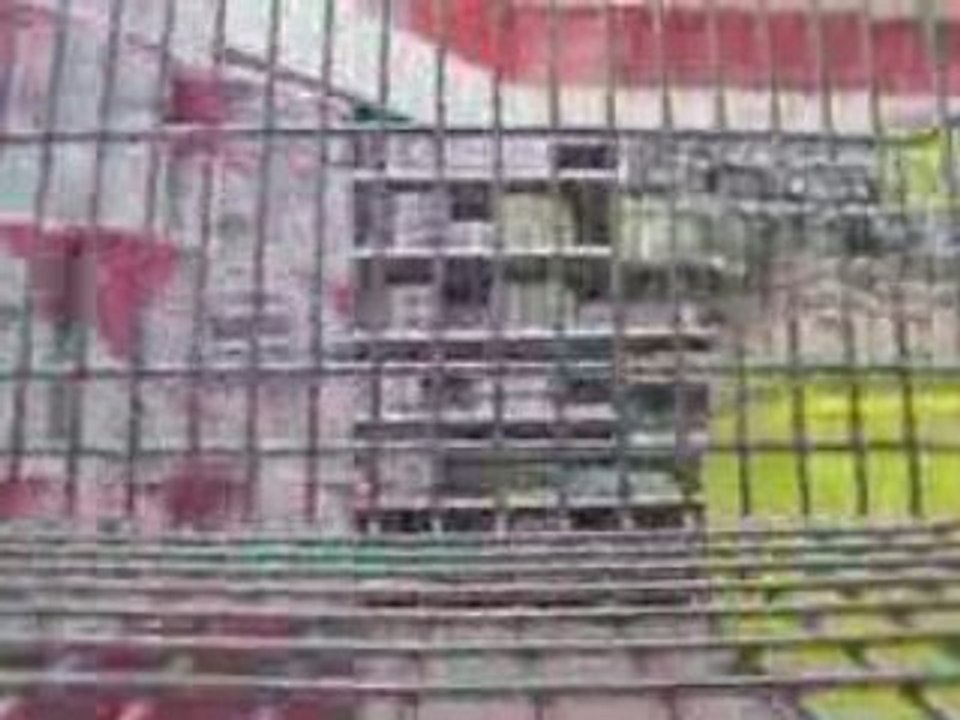 Le premier Supermarché de France