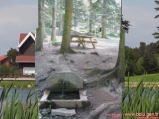 23 Mayıs 2008 Gölcük Bolu - www.bolu.gen.tr