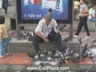 Cali Colombia Travel - Bird Sits on Mans Head