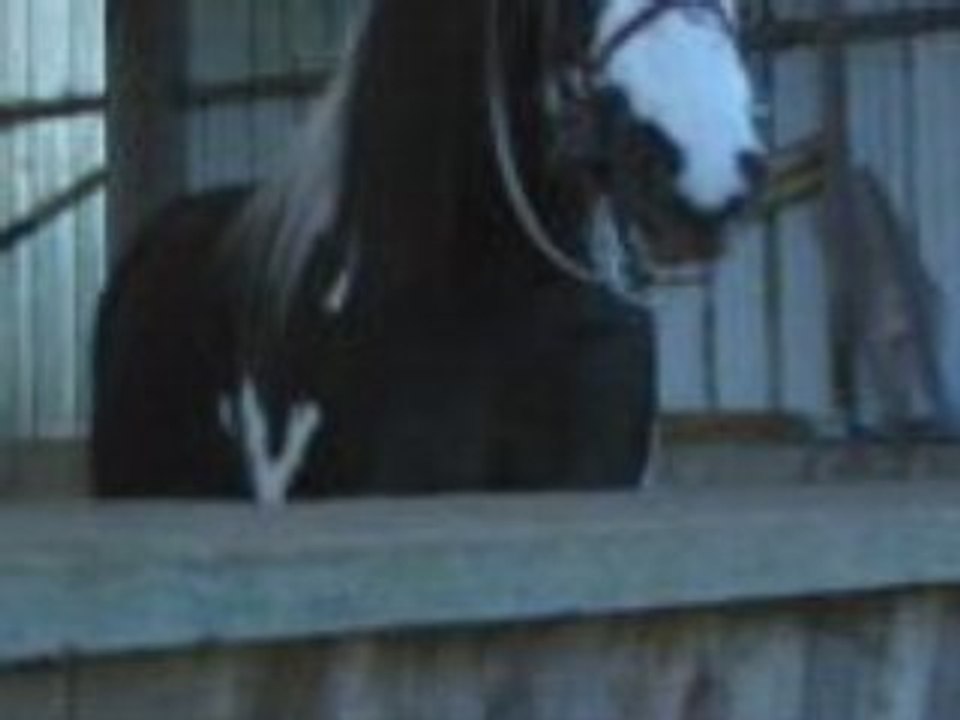 Gamleur sur Rednex x)