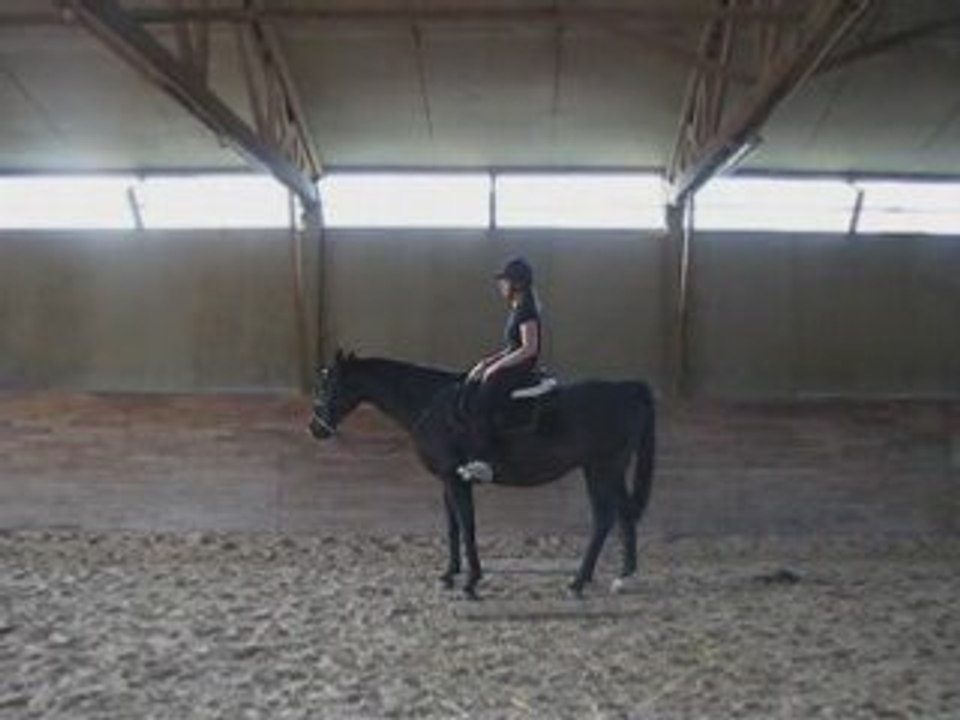 SansTitre_0003