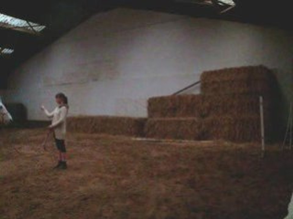 15 octobre travail avec la strouphmette