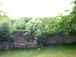 figure acrobatie dans jardin