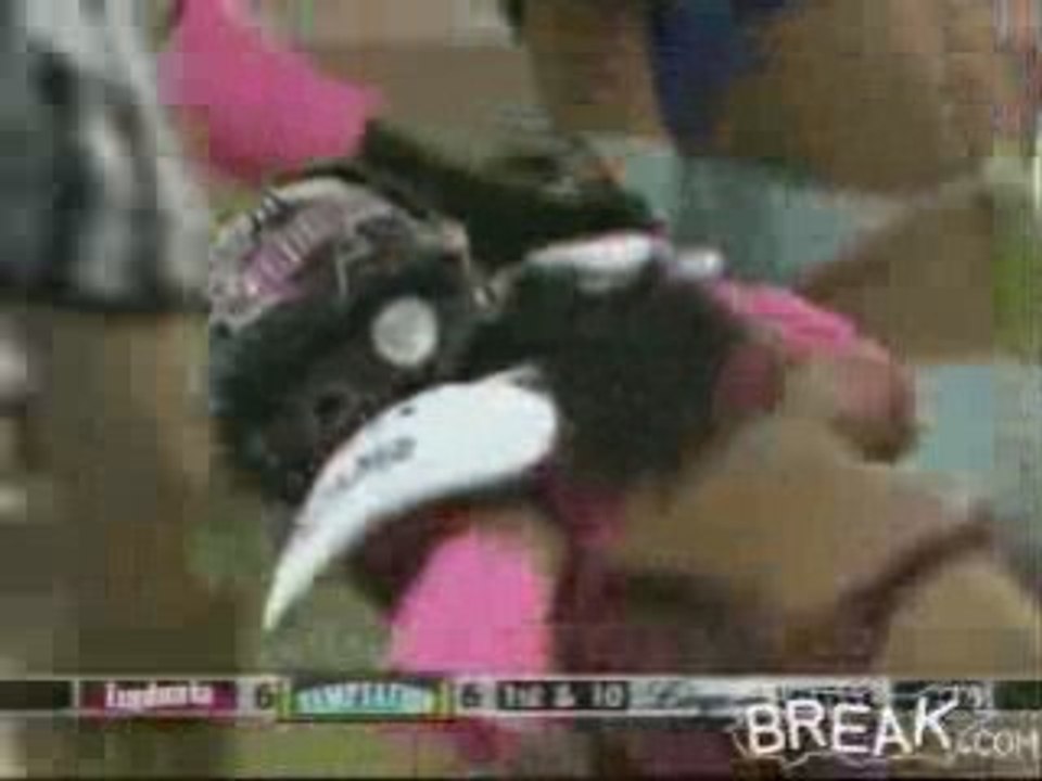 Lingeriebowlnip