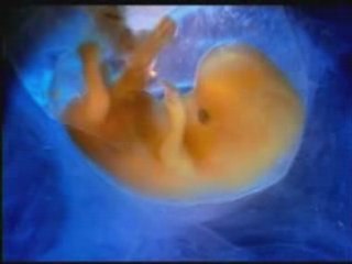 tunisie Les miracles du coran