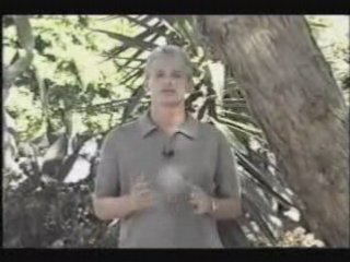 Drug Rehab Treatment
