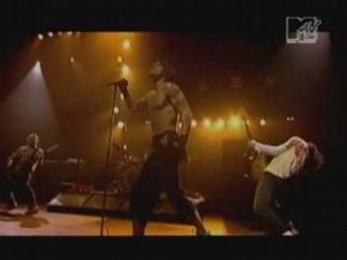 Red Hot Chilli Peppers - By the way (Live in Paris)