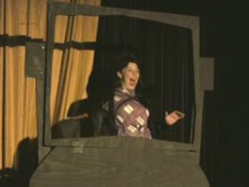 Insane Films: Teaser for Handbag Productions