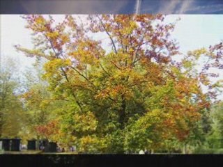 Ciel et Terre d'automne 2008