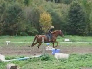 Octobre14 2008 amadeus obstacle