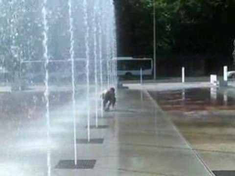 Délires de la team sur la place des nations 2
