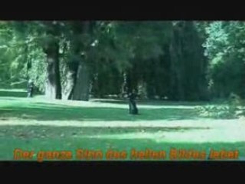 Der herbst ist da schau