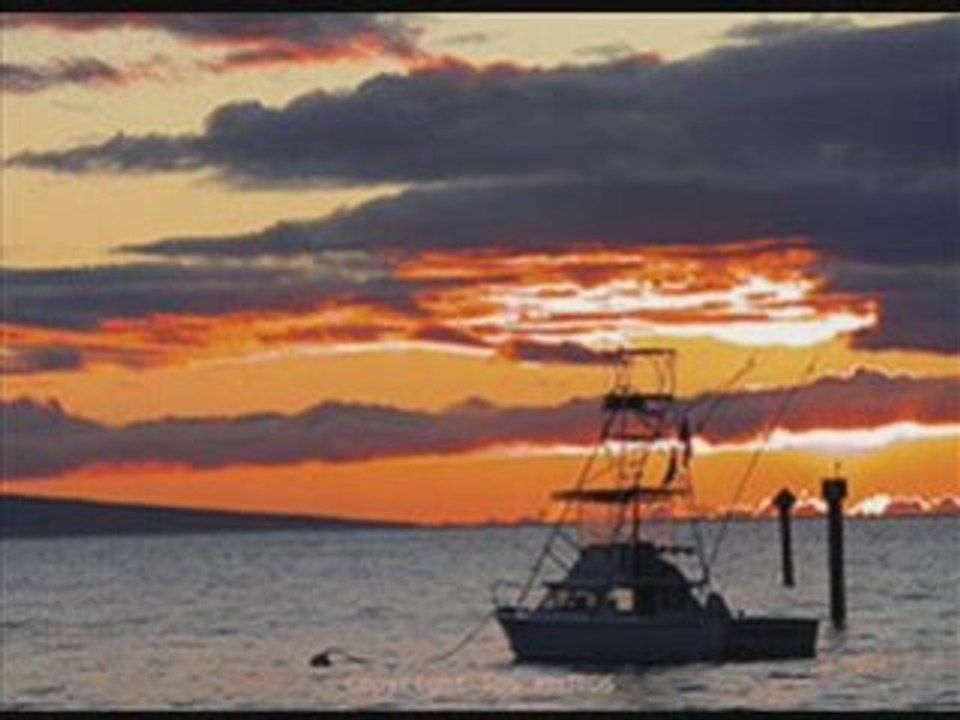Circle Island Tours Maui