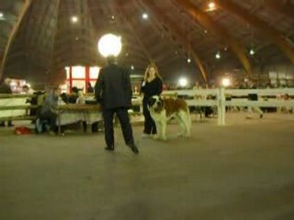 Aldo sur le ring