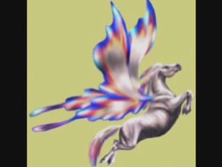 Horses runaway