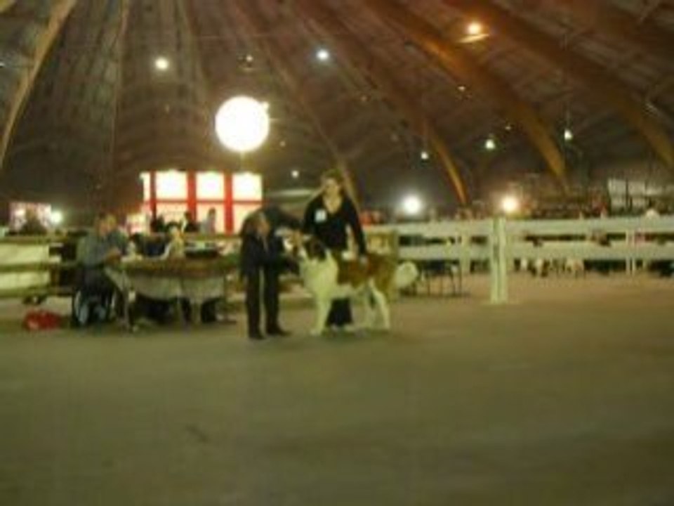Alaska sur le ring