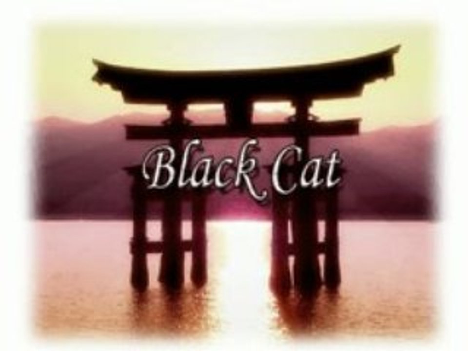 010 - Black Cat - Animé Série TV