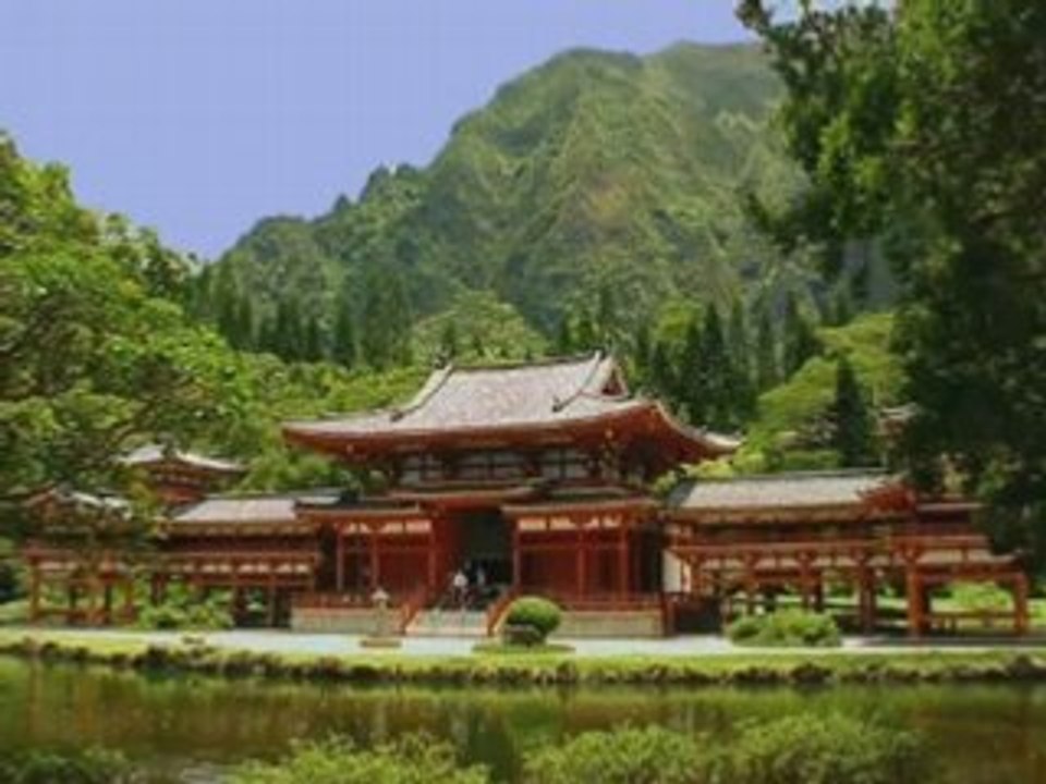 Circle Island Tours