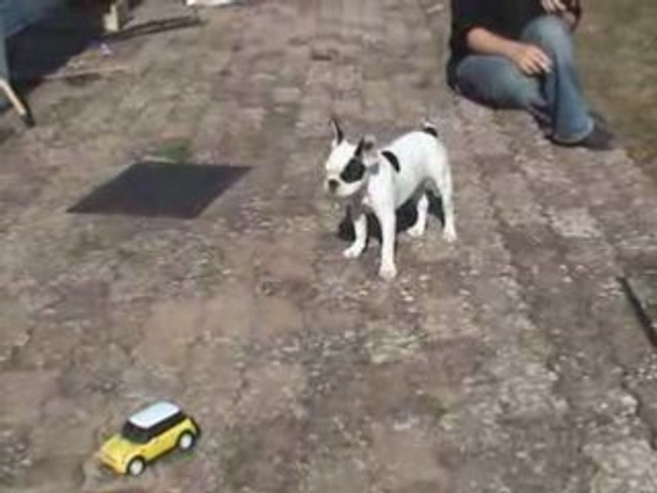 Diddle vs mini Mini Cooper act2