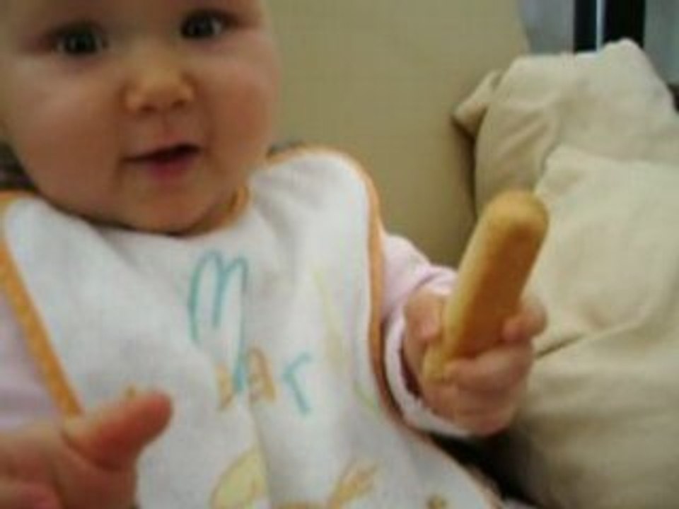 biscuit