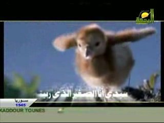 ANASHEED  نشيد رائع A VOIR !!