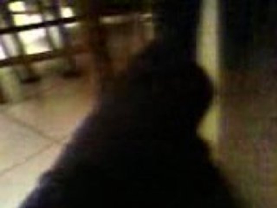 IDEM 2