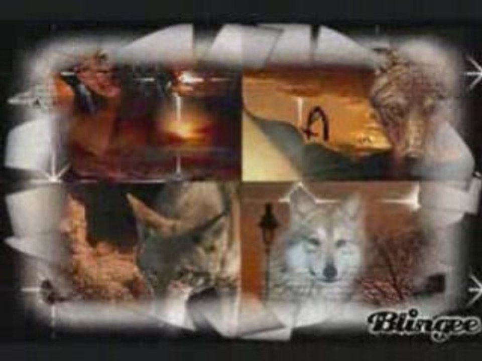 Loups creation