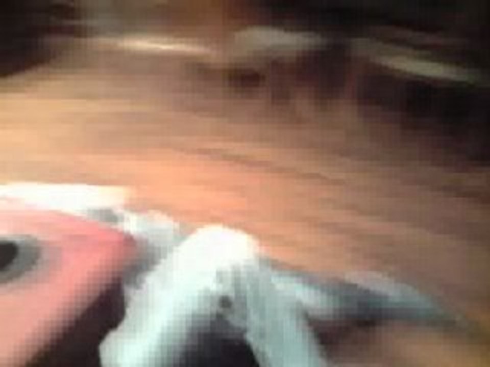Fight round 2_