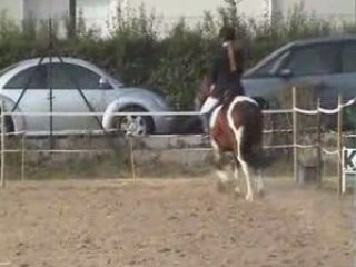 concours de dress avec irokwa le 12 octobre 2008