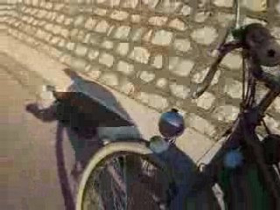 Bima !! dans la côte de St Jean du Pin