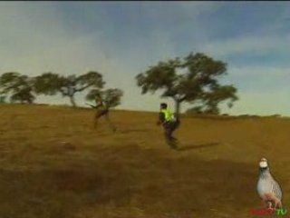 01 A LA CAZA DEL ZORRO EN EXTREMADURA17-11-2007  FURTY