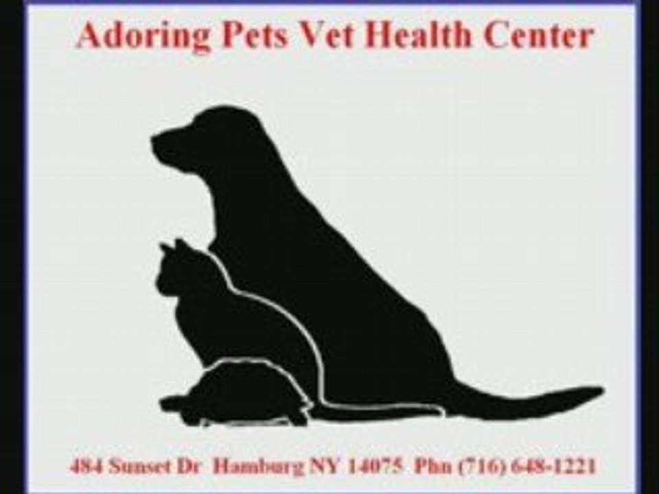 ANIMAL HOSPITALS IN HAMBURG NY