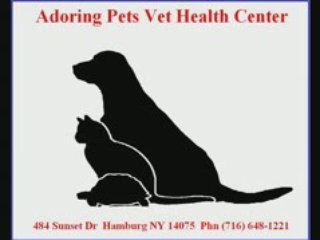 VETS IN HAMBURG NY