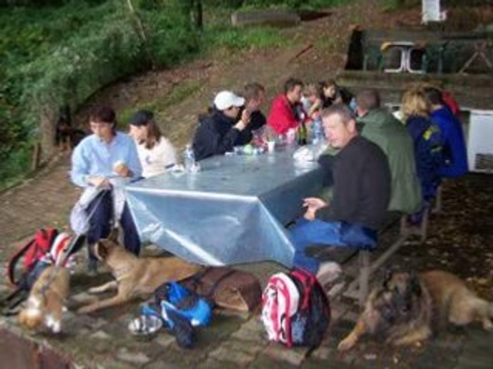 Ballade en fôret avec le C.C.Ham