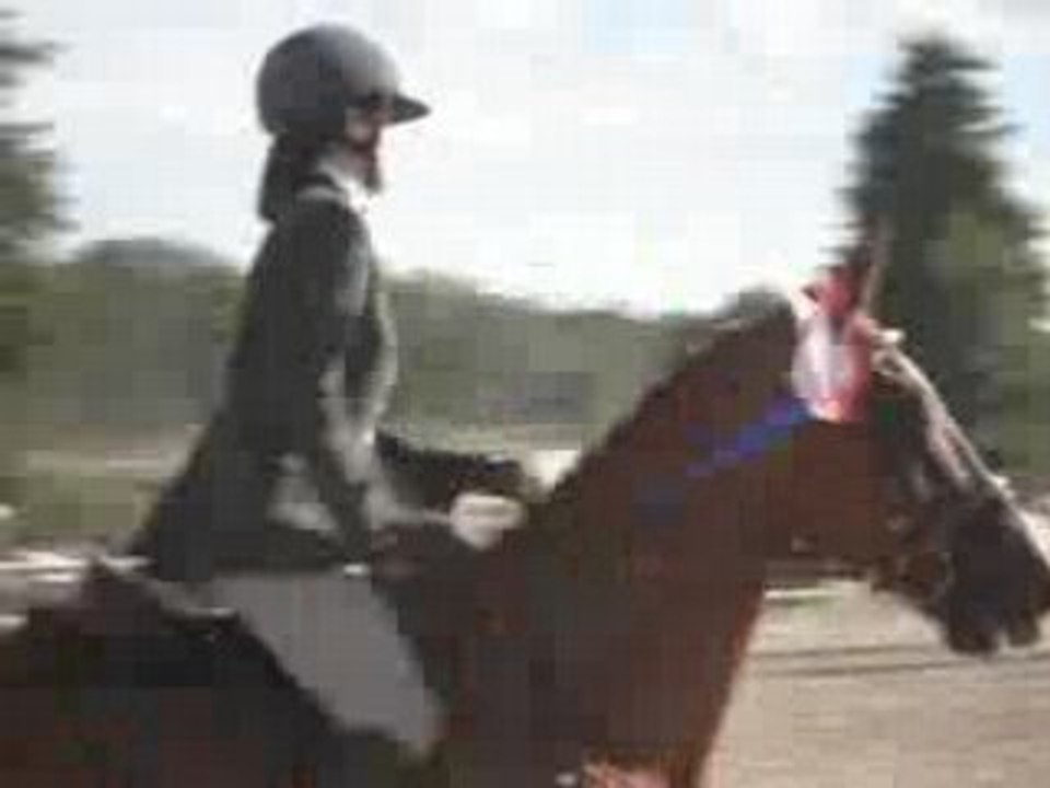 Lamotte 826