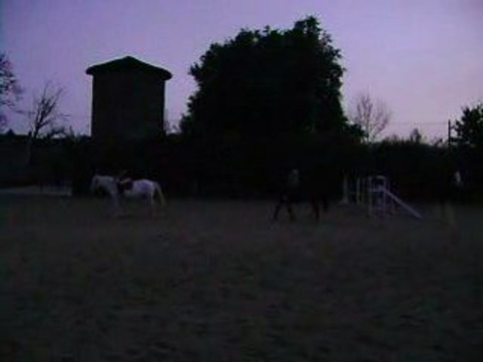 Etzingaa