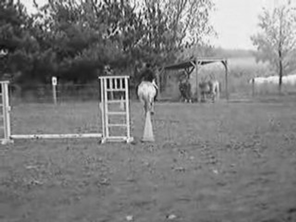 Athos et moi sans selle/ Athos and me bareback