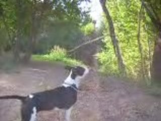 staff magnifique 1324